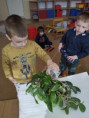 /album/foto-den-vody/den-vody-zabky-5-jpg/
